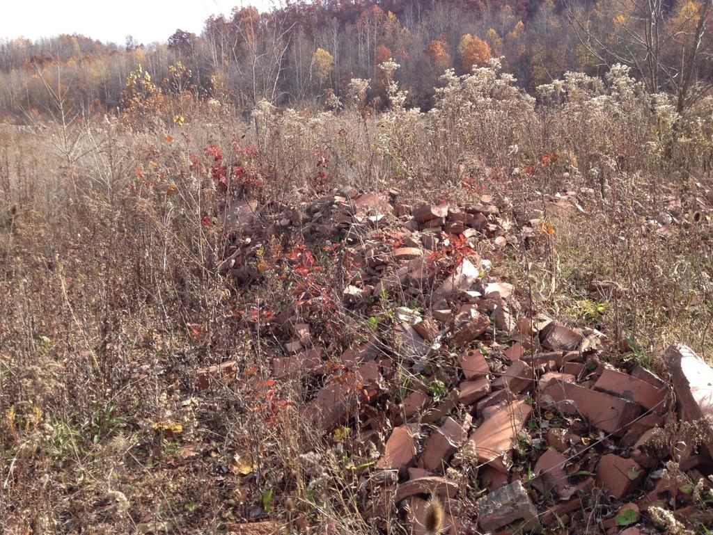 Photograph 11: Rubble pile in the central portion of the Subject Property Photograph