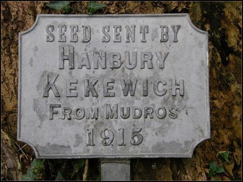 The 1 st Line regiment of the Sussex Yeomanry was mobilised on 4 August 1914, at which time it was at Hode Farm near Canterbury. Hanbury was in the machine gun section, and later commanded C Company.