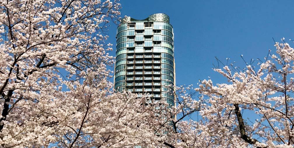 Savills World Research Tokyo Briefi ng Residential leasing SUMMARY Image: Park Court Akasaka-hinokicho The Tower While the C5W led rental growth in Q1/2018, every submarket, including all fi ve of