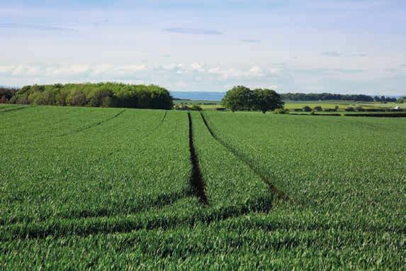 First class arable land in a highly productive area Land at Kingston, North Berwick, East Lothian, EH39 5LT North Berwick 2½ miles, Haddington 7 miles, Edinburgh 23 miles Features: Lot 1 Roman Well