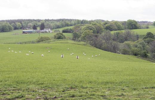 Situation The houses at Tullymoran will enjoy a peaceful rural location with outstanding country views over Glen Almond.