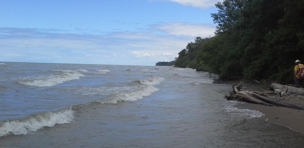 Approximately 80 percent of Ohio s Lake Erie shoreline is developed or in private ownership, which makes this project even more important.
