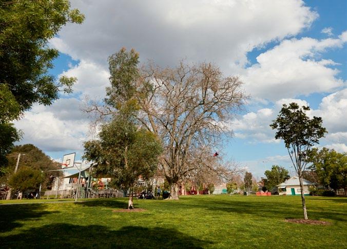 01 Caulfield Park offers local residents a place to run, walk the dog or