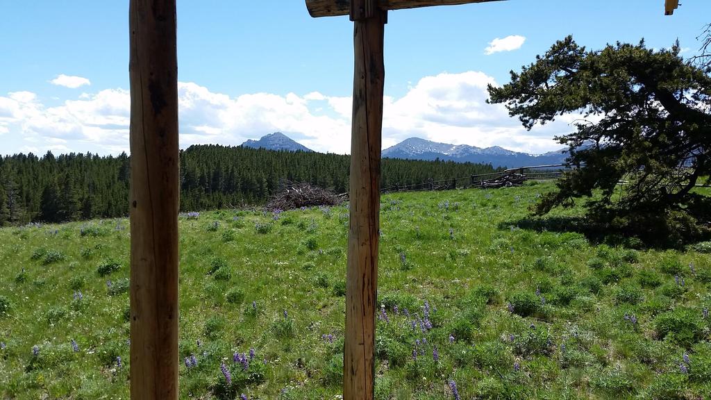 Offering Details The Shippert Cabin & Acreage is being offered for $222,500. (Two Hundred Twenty-two Thousand Five Hundred Dollars) Seller shall require an all cash sale.