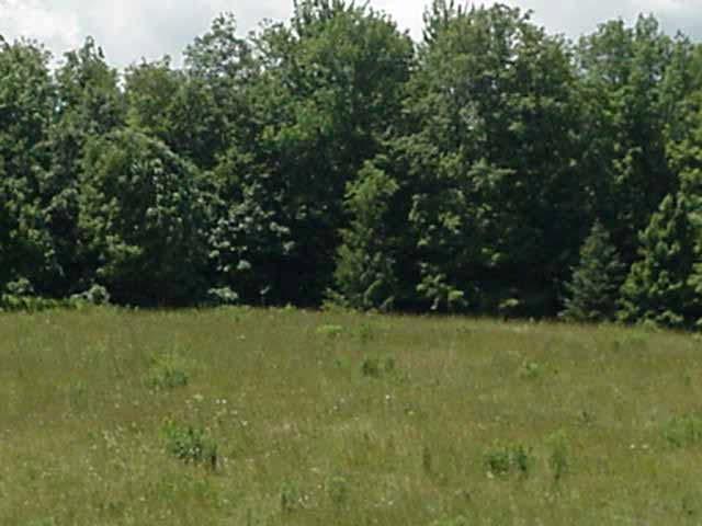 PARCEL 23 TAX#: 186.-2-15.113 ADDRESS: SHAW ROAD TOWN/VILLAGE: TOWN OF NUNDA ASSESSMENT: $7,500 LOT SIZE/ACRES: 2.