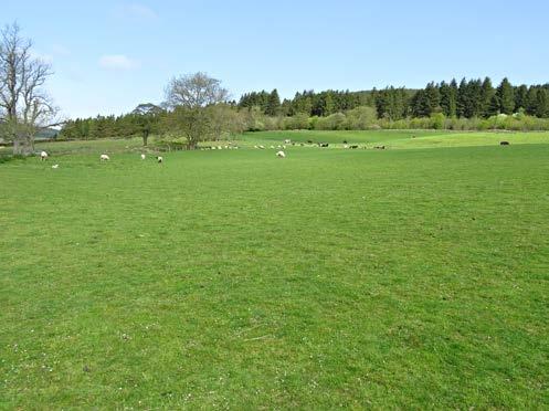 THE LAND Wood Farm extends in total to about 39.78 acres (16.1 hectares) to include the areas occupied by the farmhouse, steading, amenity woodland, tracks, etc.
