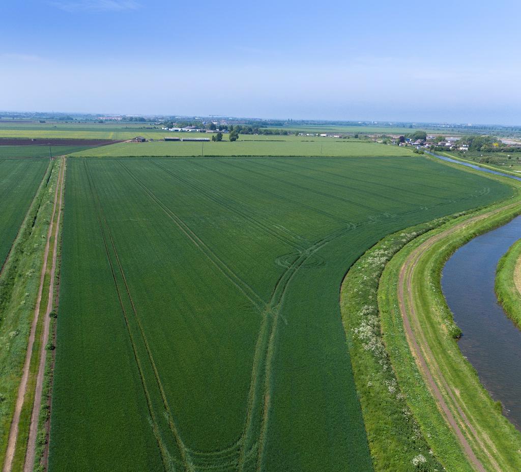 The sale of Fields End Bridge Farm and Orchard Farm provides an excellent opportunity to acquire Grade 1 and 2 arable fen land with potential for significant income from the extraction of gravel and
