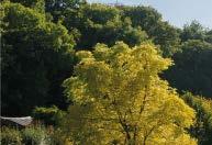 Yew Tree Farm Parkwater Lane, Whiteparish, Salisbury, Wiltshire, SP5 2QR Well