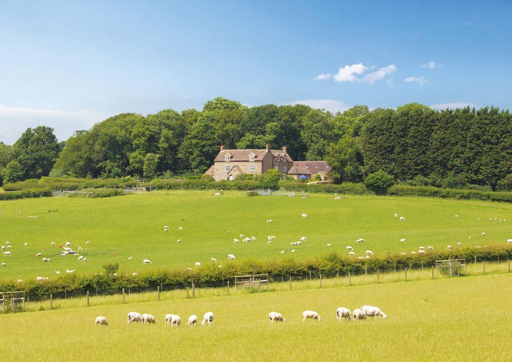 AN EXCEPTIONAL RESIDENTIAL, EQUESTRIAN AND COMMERCIAL FARM SET IN BEAUTIFUL