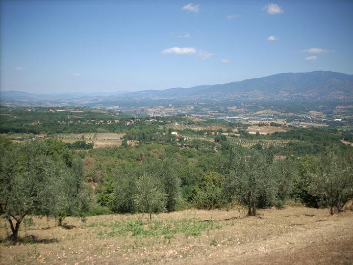 Panorama on the