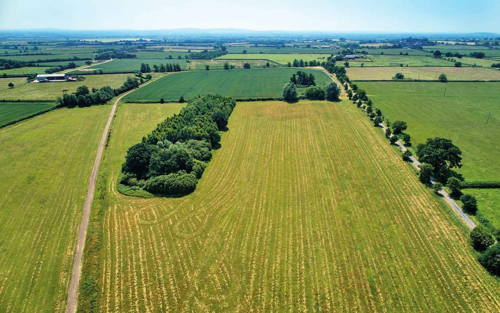 The Land The land is split into three main fields and comprises about 40 acres of arable, about 32 acres of pastureland and about 4 acres of mature woodland.
