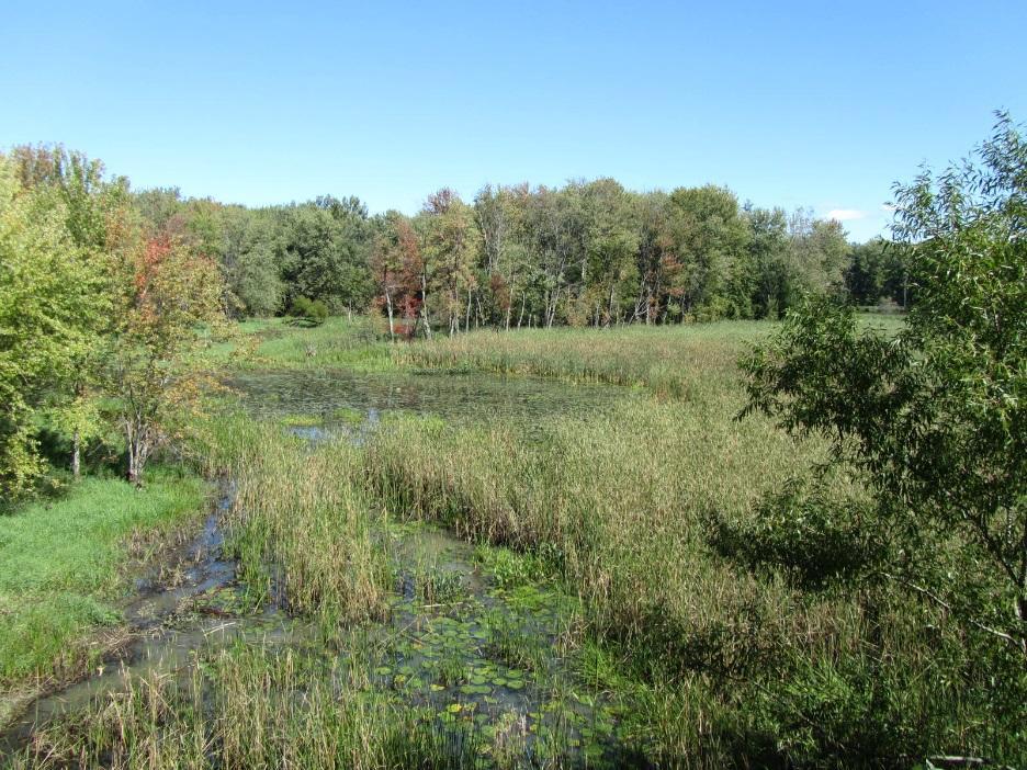 River, Colchester Pond, and Pond Brook; All include extremely high value conservation areas and critical
