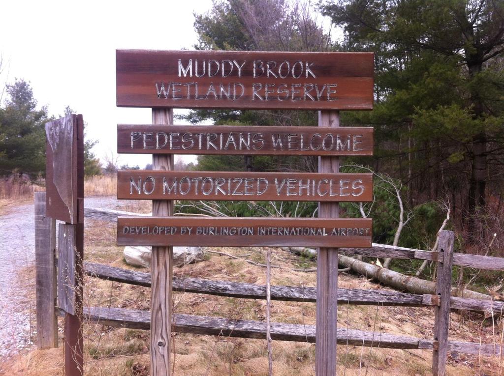 Williston: Muddy Brook Wetland