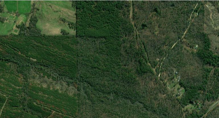 County Road 213 Tract 1: North 9th Street Sevier County, 66 acres, more or less T 8 S R 32 W Sec. 1 Timber Harvested Since Photo T 8 S Sec.