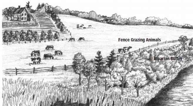 Cattle Fencing Improvement Grant Program Agriculture Buffer Improvement Grant