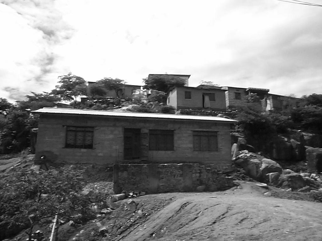 6 On the Hills: Trees or Houses? Contested Space Photo 6.1. One of the hilltops in Mwanza. (Photo:Susan Leask, 2002.) It s a time bomb and it will explode.