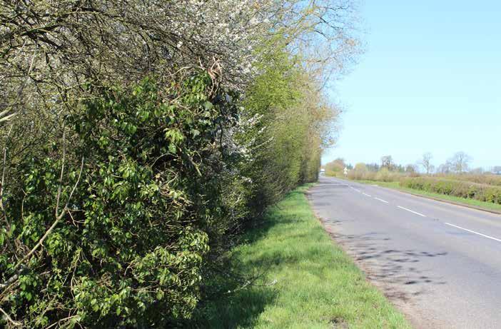 Once you are in Brinklow follow the B4455 Fosse Way towards Leicester. Follow this road north over the M6 motorway. After 3 miles and at a crossroads turn right towards Lutterworth.