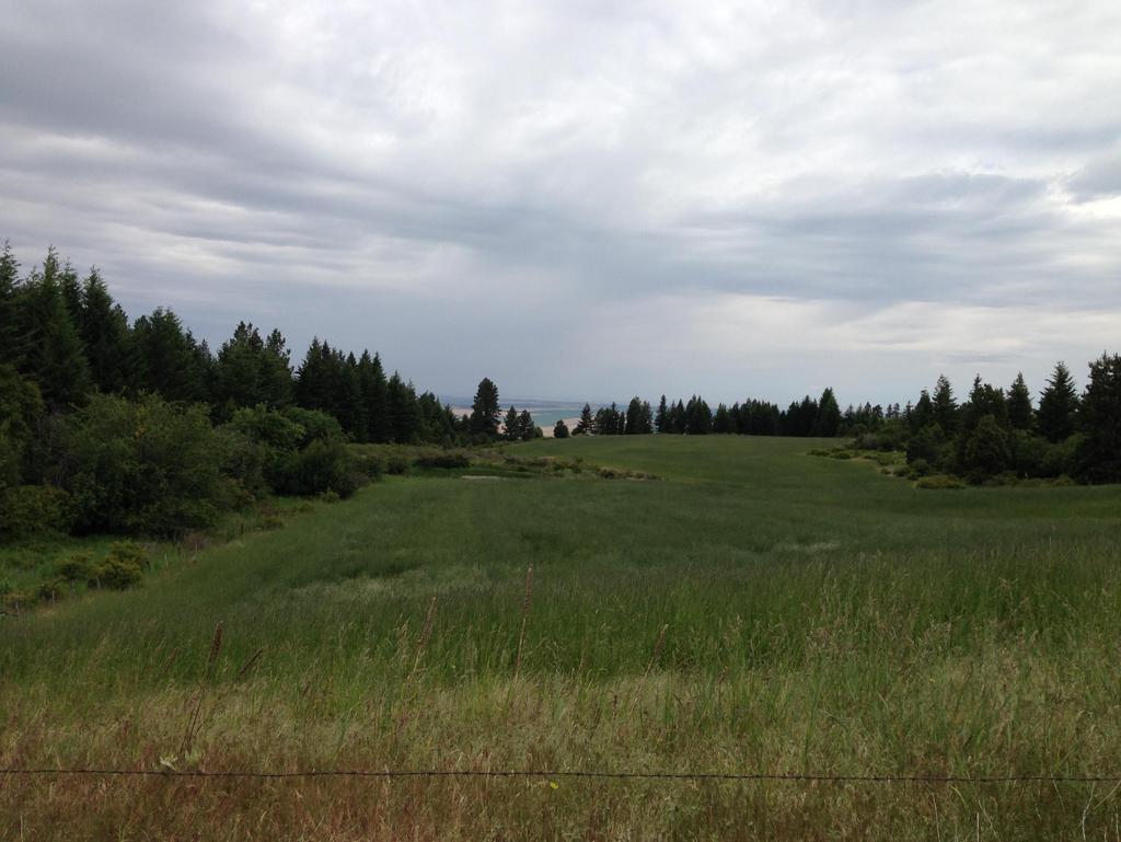 For SALE Associated Appraisers of Walla Walla LLC Whiskey Creek 360 $650,000 362.96 total acres Cropland 144.13 acres Timber and Range 218.83 acres Elk & Native Game Habitat AssociatedAppraisersofWW.