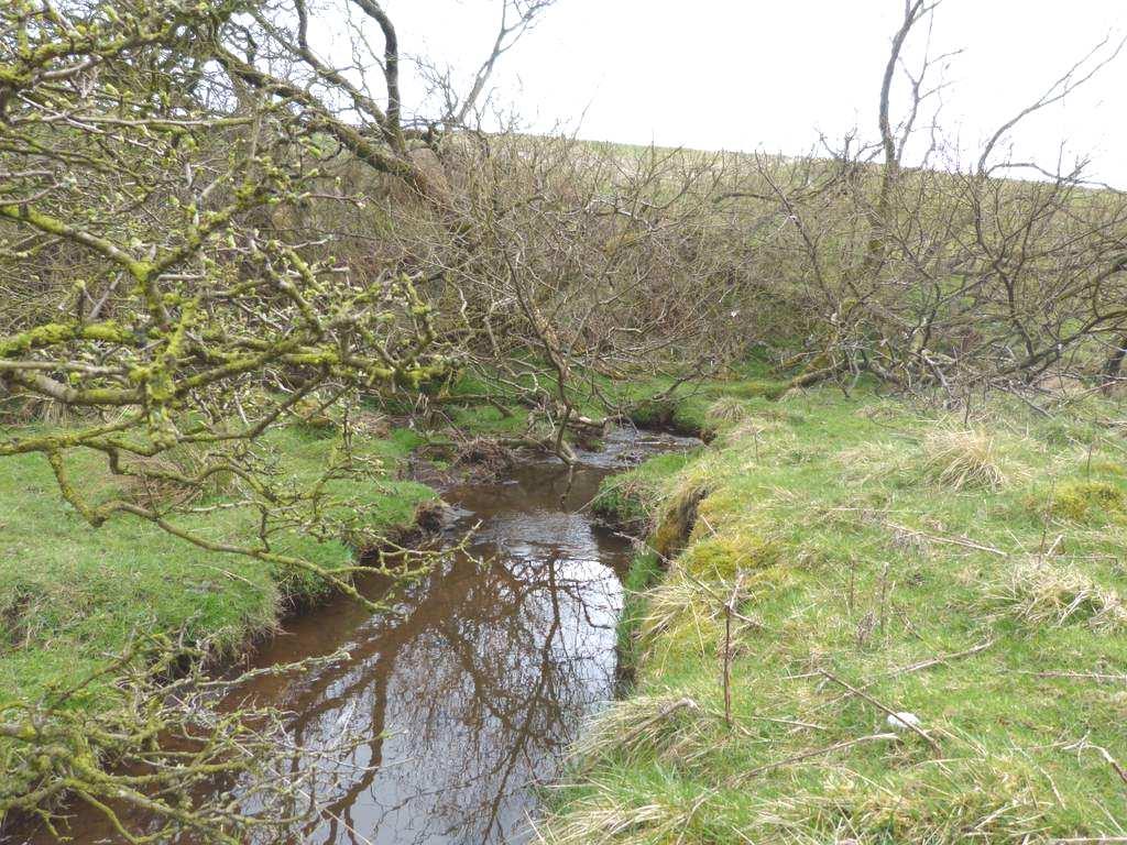 78 acres or thereabouts and comprises four enclosures of grazing land with a well established stream passing through the land.