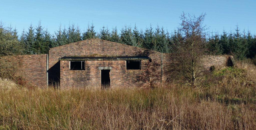 CARSEGOWAN WOOD 46.81 Hectares / 115.67 Acres A fascinating mixed woodland, dominated by fast growing Sitka spruce, established on the site of a former WWII munitions factory.