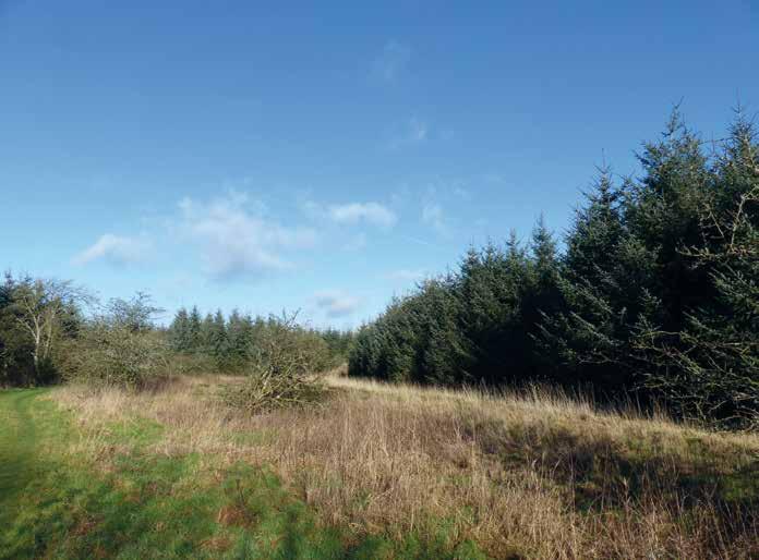 WOODLAND GRANTS There are no grant schemes in place and no transfer of obligations required.