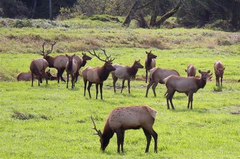 Antelope Hunt Area 20.