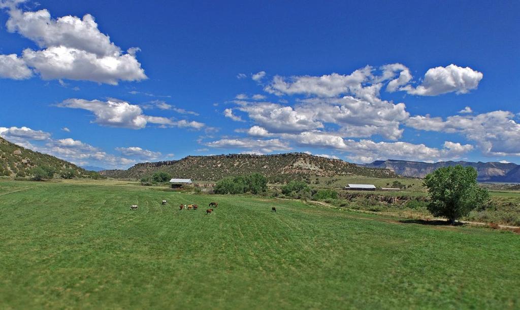 Price DRASTICALLY Reduced McELMO CANYON FARM CORTEZ, COLORADO 200± ACRES $975,000 Horses, Hayfields, Water and BIG Views. At the confluence of McElmo and Alkaline Creek lies Jones Livery.
