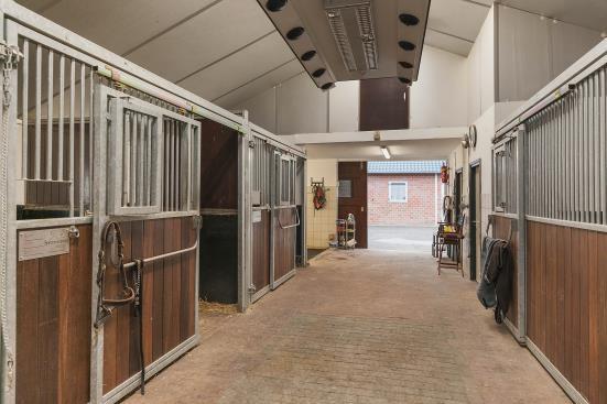 The left unit has four stalls and features tailor-made, heated tack lockers. There is also a sink with hot and cold water. This unit is already equipped with a solarium. All stalls (approx. 4 x 3.