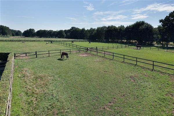 Pasture/paddocks: The pasture is divided into six