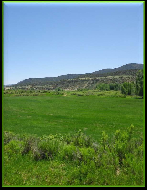 Rio Blanco Lake SWA - Roselund & Black Mountain 695-acre Fee Title Acquisition/Public Access Easement Rio Blanco County Closed December 2014 The Roselund and Black Mountain