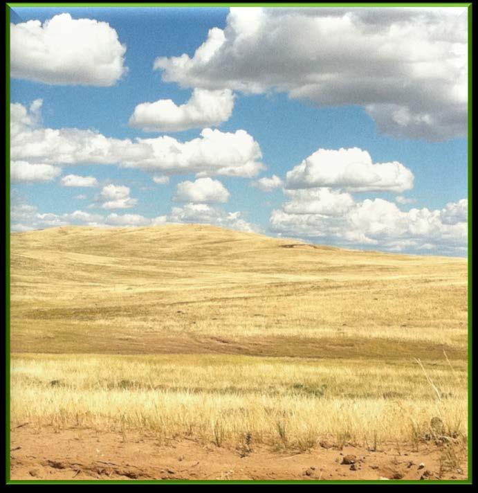 Cross Mountain Ranch SWA 16,069-acre Third Party Conservation Easement and 13,368-acre 10-year Term Access Easement Moffat County Closed December 2014 Colorado Cattlemen s Agricultural Land Trust (