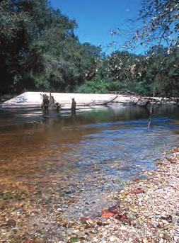 scenic rivers and streams In 1970, the Louisiana Legislature created the Louisiana Natural and Scenic Rivers System.
