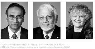 KOREA: Ribosome Story on the web ribosome story & ins &