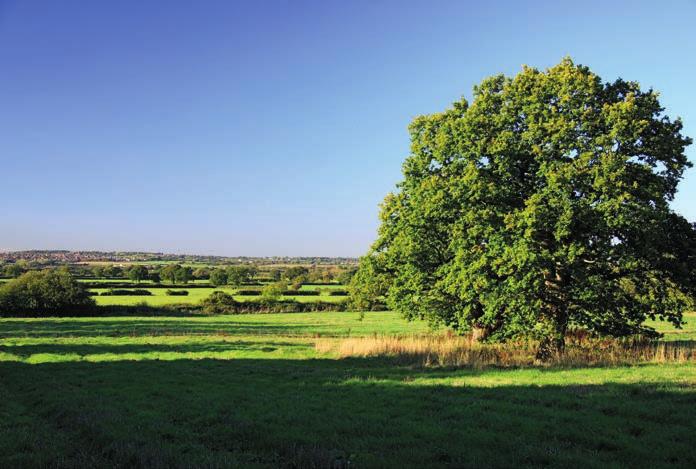 Description The property comprises an attractive parcel of arable, pasture and woodland together with a range of farm buildings.