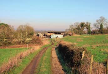 The Farm Buildings: The buildings are situated at the end of Bincknoll Lane, and comprise a useful range of livestock and fodder buildings which were formerly utilised for dairy production and