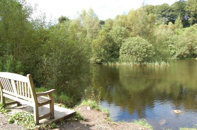 Fishing Ponds and Former Railway For Sale By PUBLIC