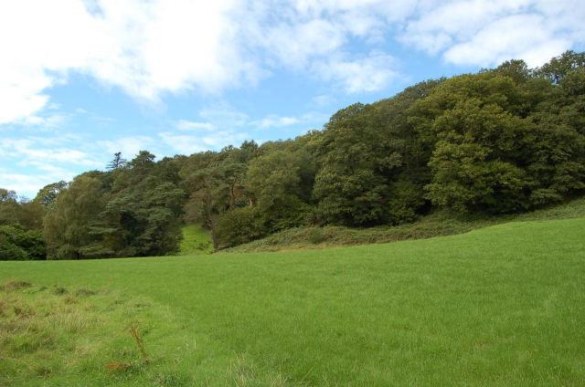 PARTICULARS LOT 1 A superb mixed woodland of extensive amenity value on the outskirts of Broughton-in-Furness. Excellent mixture of hard and soft woods.
