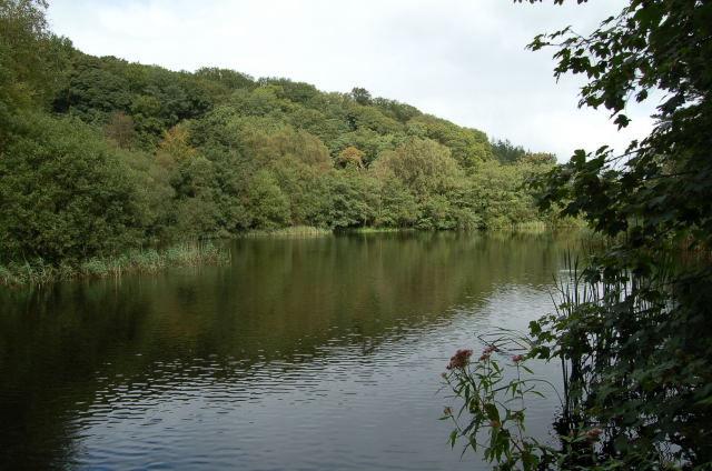 The remaining area, surrounding the ponds, consists of mixed broadleaves including Birch, Willow and Scots Pine and some younger Larch.