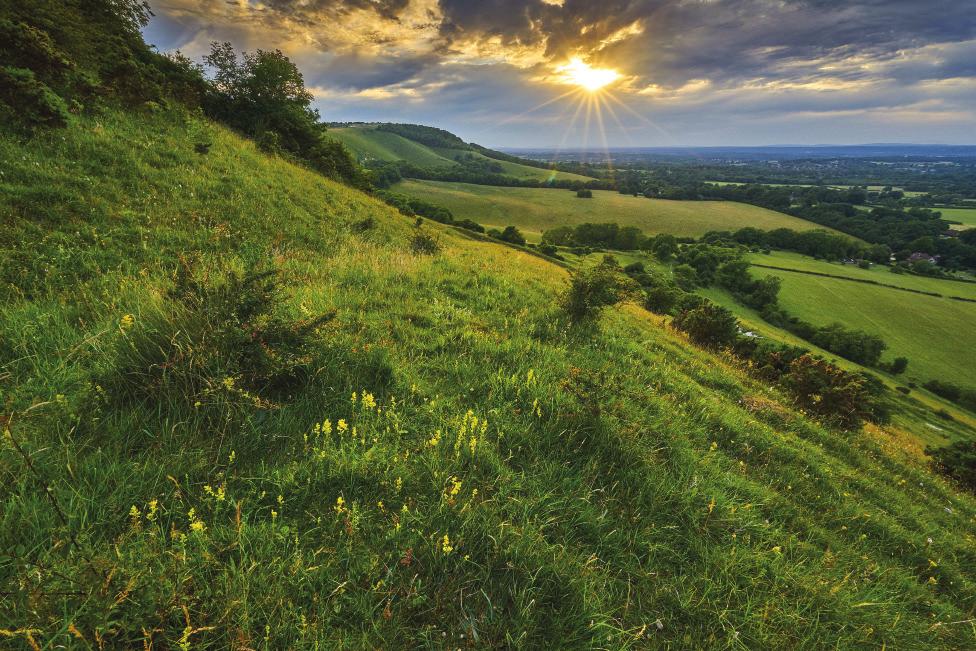 Set within just a few miles of The South Downs National Park, Burgess Hill is a thriving, affluent town surrounded by