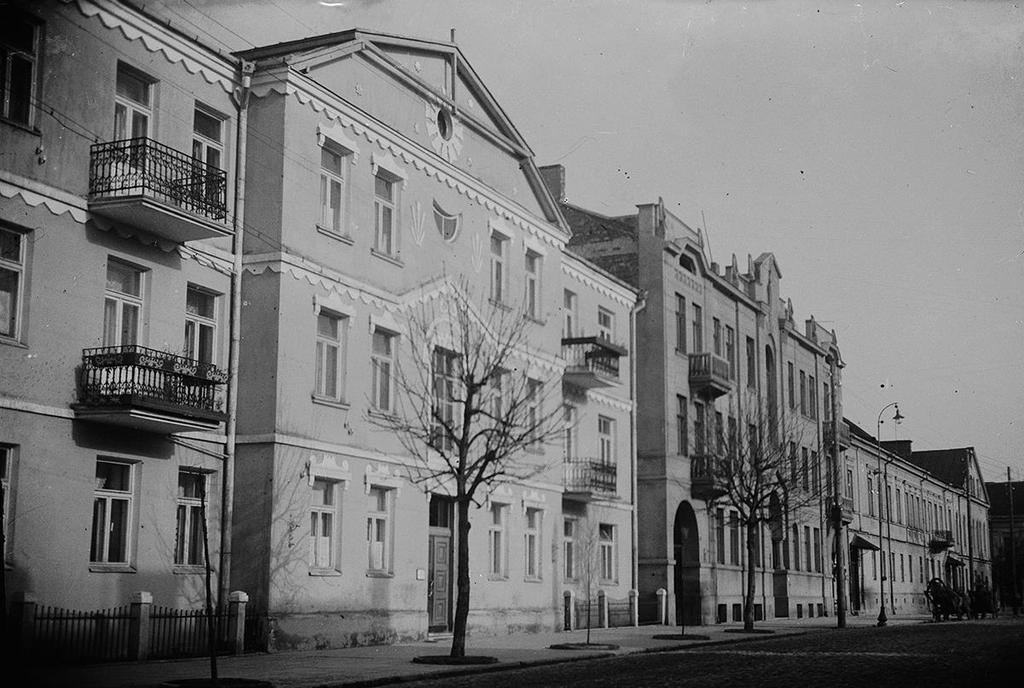Early example of national style, Tulpė housing
