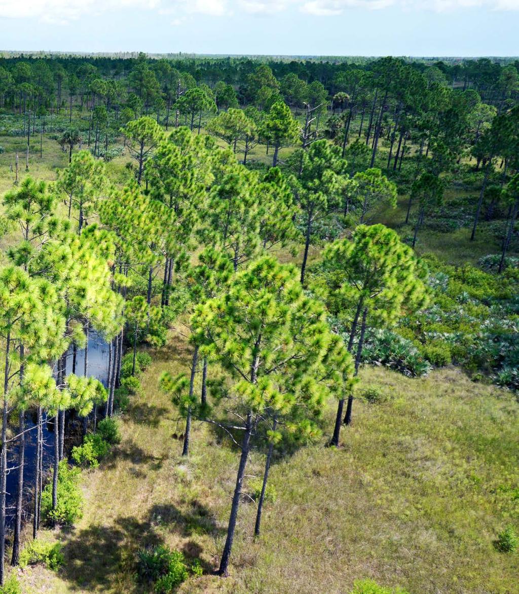 Lake Harney Recreation $ Hunting 2,600 +/- Acres Owned by same Florida pioneer family for four generations, this property has never been offered for sale.