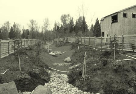 Mill Creek Subdivision, IL Clustered site