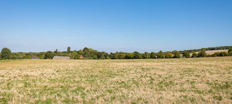 Development on Green Belt Land There is a significant demand for new housing in the region.