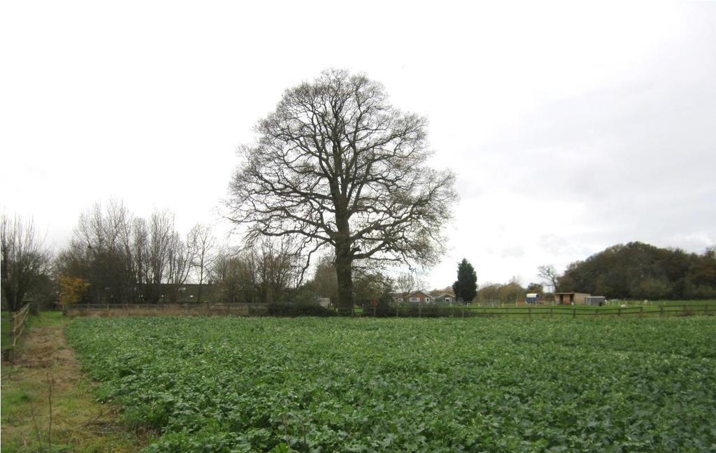 Arable Land at Gaddesden Lane, near Redbourn, Hertfordshire An opportunity to purchase approximately 27.