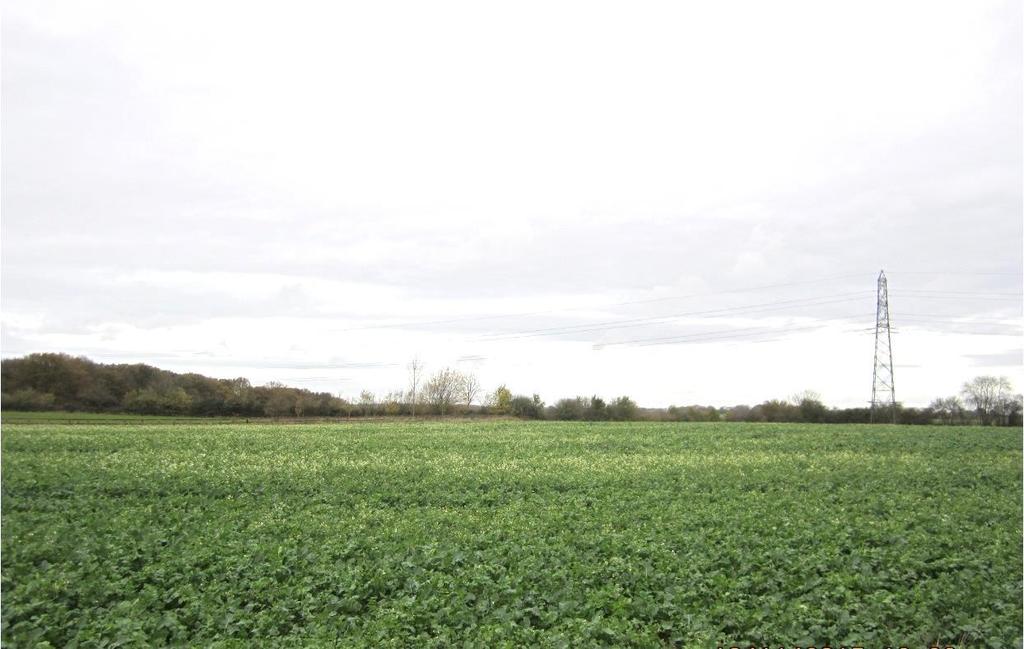 The land is suitable for agricultural, sporting, equestrian or other amenity uses subject to planning. In all approximately 11.274 hectares (27.86 acres), or thereabouts Gaddesden Row 2.