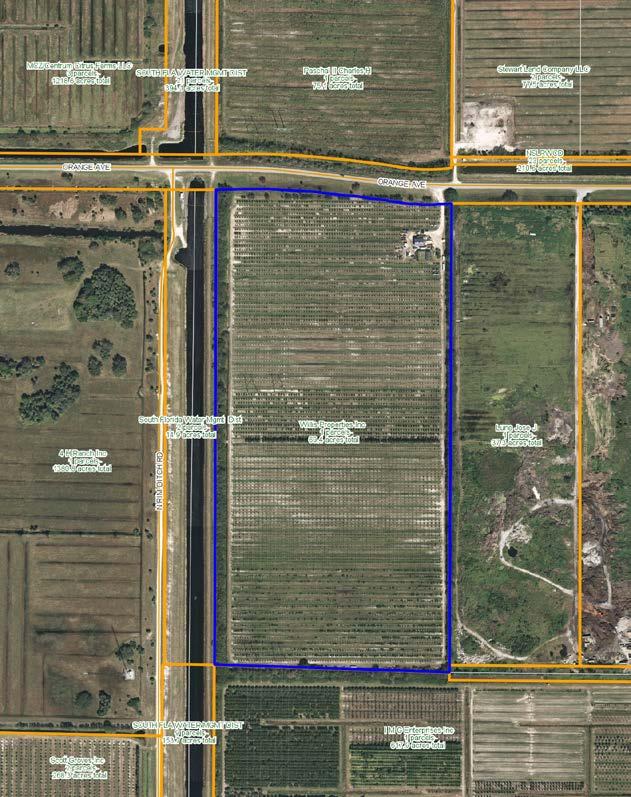 Soil Types: Riviera Fine Sand Wetlands/Uplands: No Wetlands FLU/Zoning: Ag-5 allowing one unit per five acres Current Use: Property is currently a young high density citrus grove with excellent