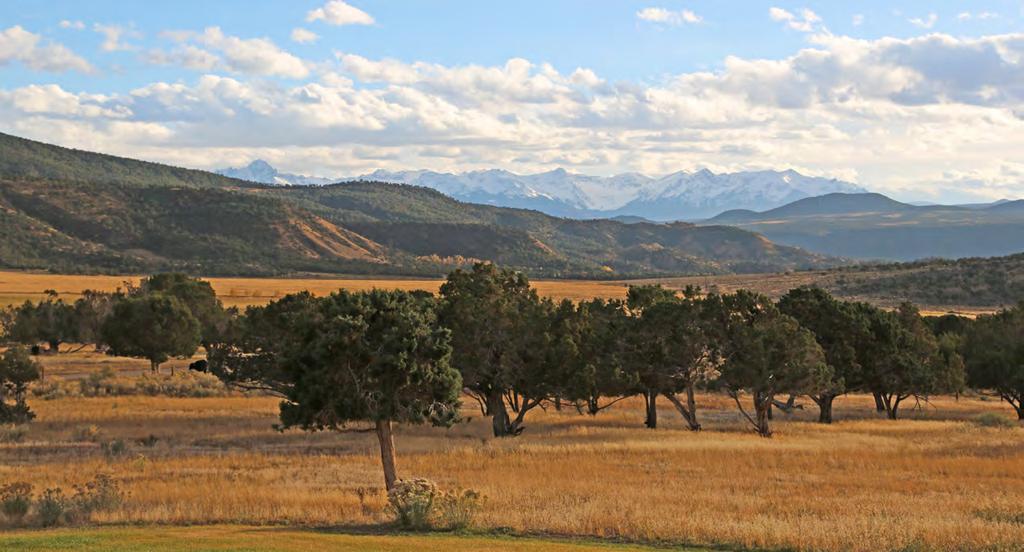 Located in Montrose and Ouray Counties, the ranch has magnificent views of the San Juan Mountains.