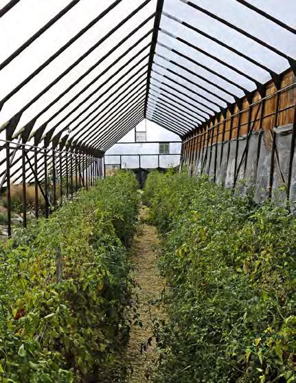 irrigation system and four greenhouses,