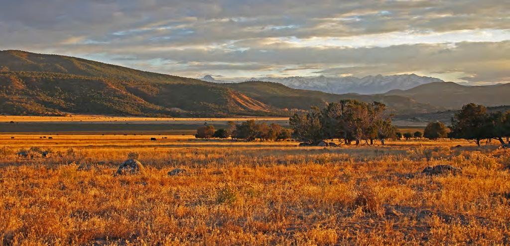 LOCATION Buckhorn Mountain Ranch is located east of U.S. Highway 550 almost midway between Montrose and Ridgway near Colona, Colorado (Pop. 30). Buckhorn Road, a paved county road, leads from U.S. Highway 550 to the ranch and provides easy year-round access.