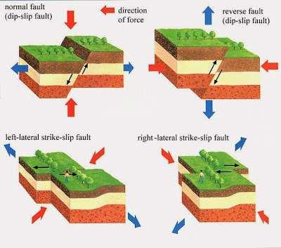 What is a Fault Line? According to the United States Geological Survey, a fault is a break in the rocks that make up the earth s crust, along which rocks on either side have moved past each other.